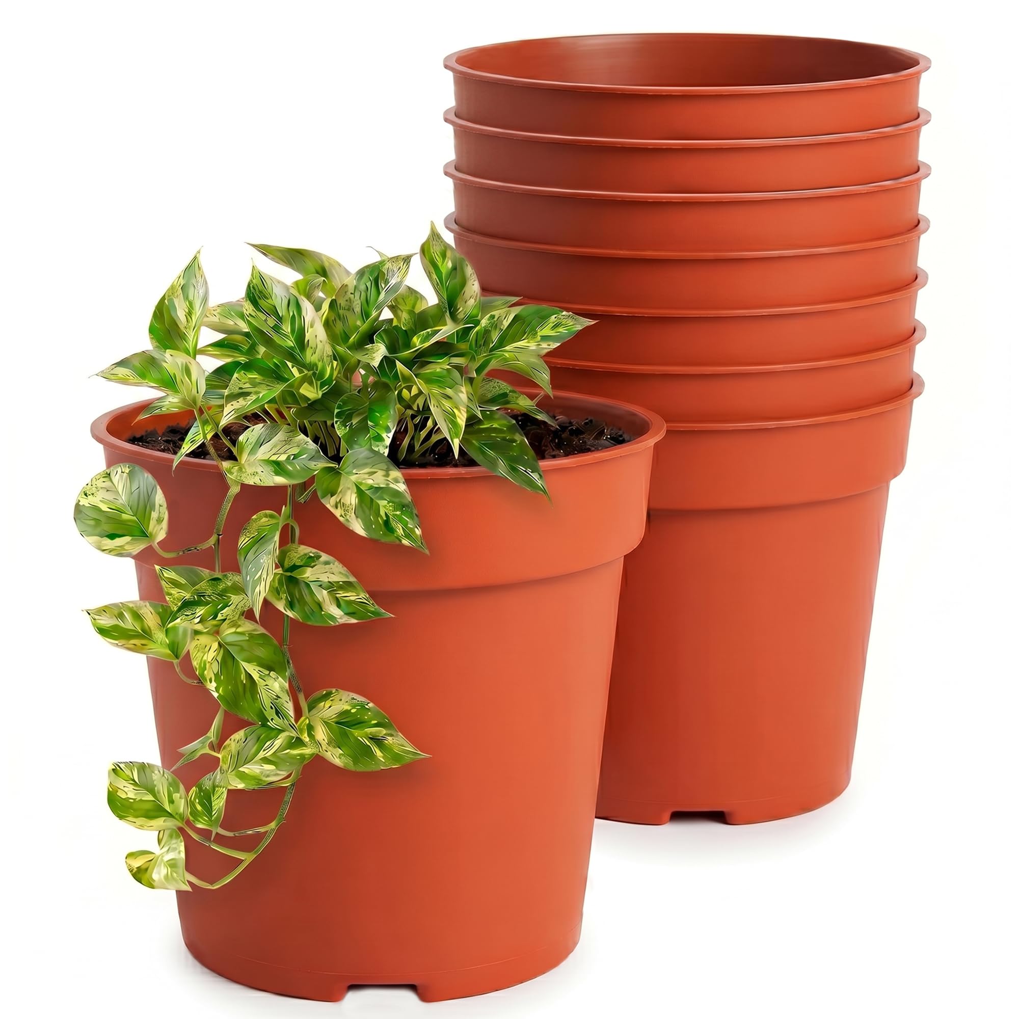 Lizzy Mini Plant Pots 8 Pack 8.5cm Small Plastic Flower Pots Indoor Outdoor Planters for Succulents Herbs Seedlings Terracotta Style Nursery Pots with Drainage for Crafts Decor UK