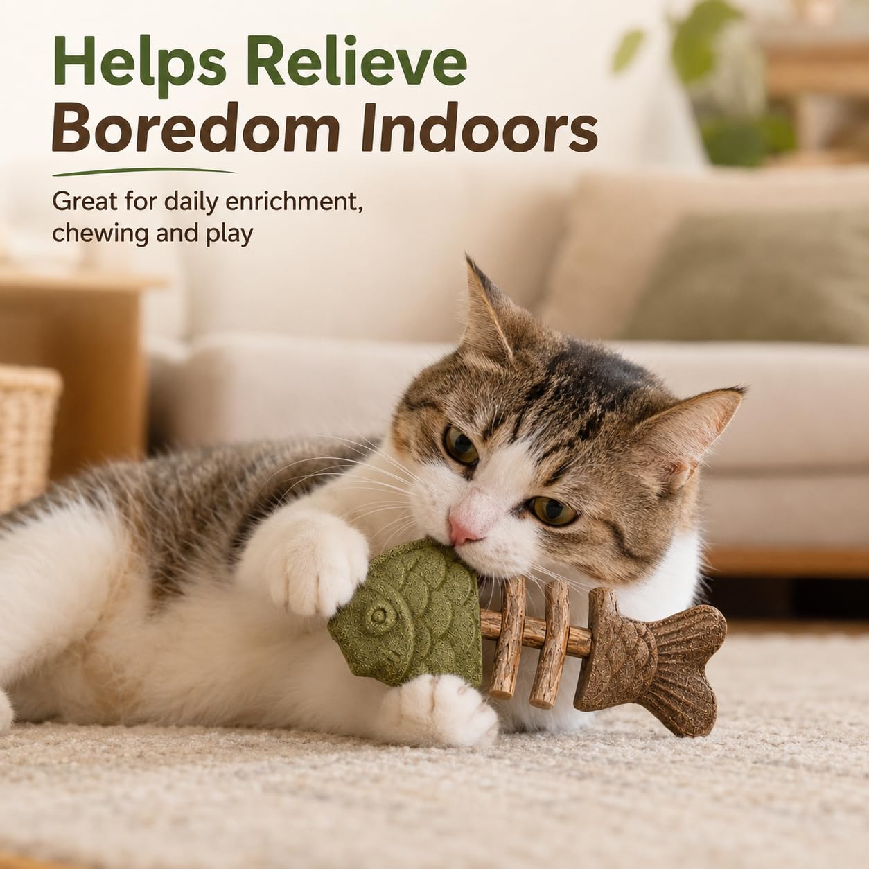 View 3