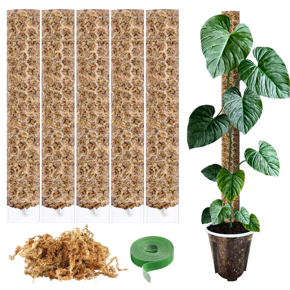 PlantScraper Moosstab für Monstera - Rankhilfe & Zubehör-Set für Zimmerpflanzen - 5 x Pflanzstäbe mit Pflanzen-Klettband & Moos - Optimiert für Aroiden - Befestigung für Kletterpflanzen - 39 x 6 cm
