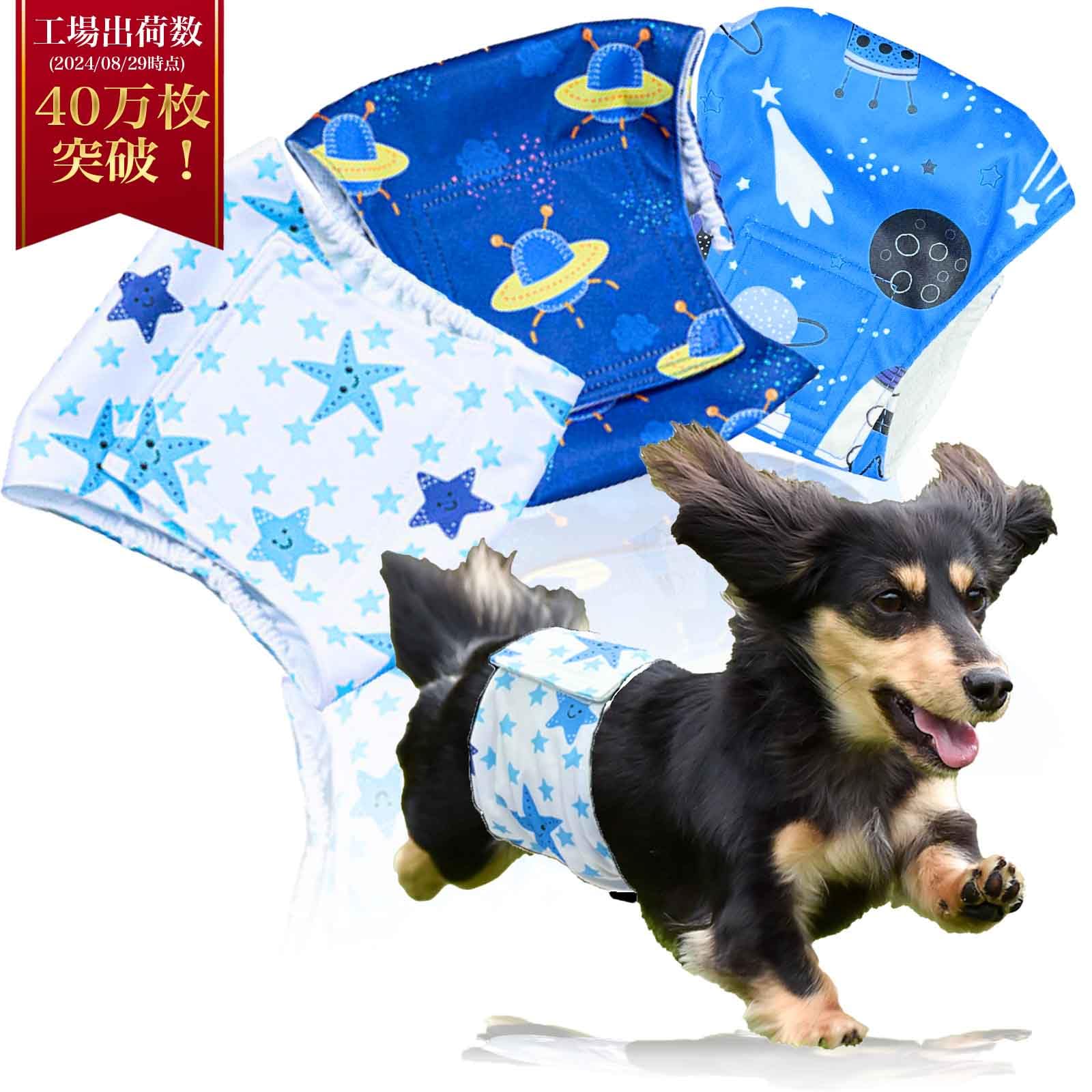 Amazon.co.jp: 【獣医師監修】 マナーベルト 犬 男の子 3点