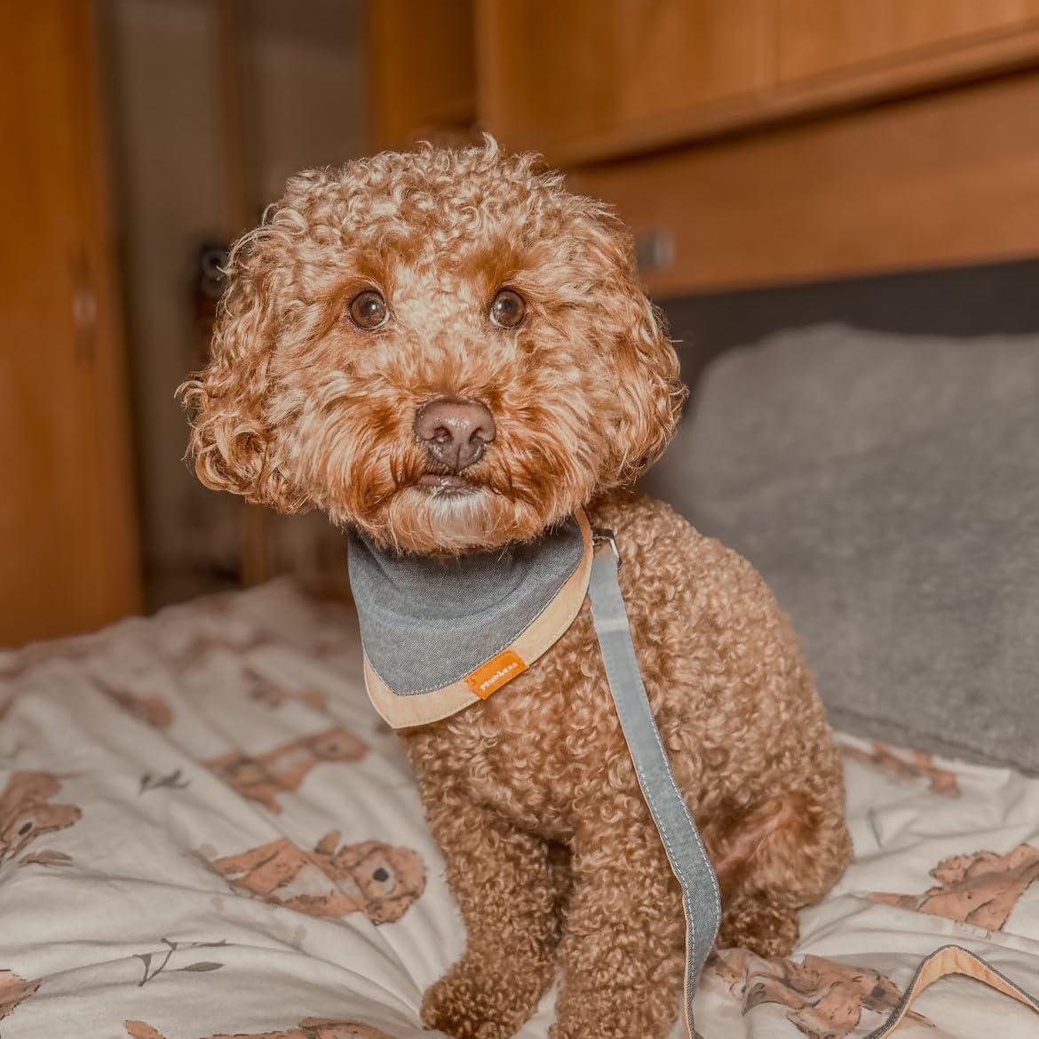 MUDLESS Dog Bandana Neckerchief, Breathable Dog Scarf Accessories - Image 3