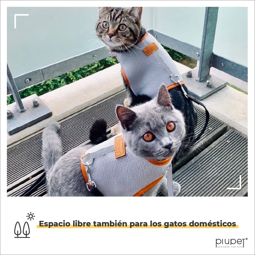 PiuPet® Arnes antiescape para Gatos (M) 1,2m - Collar Seguro y Robusto - Correa para Perro pequeño