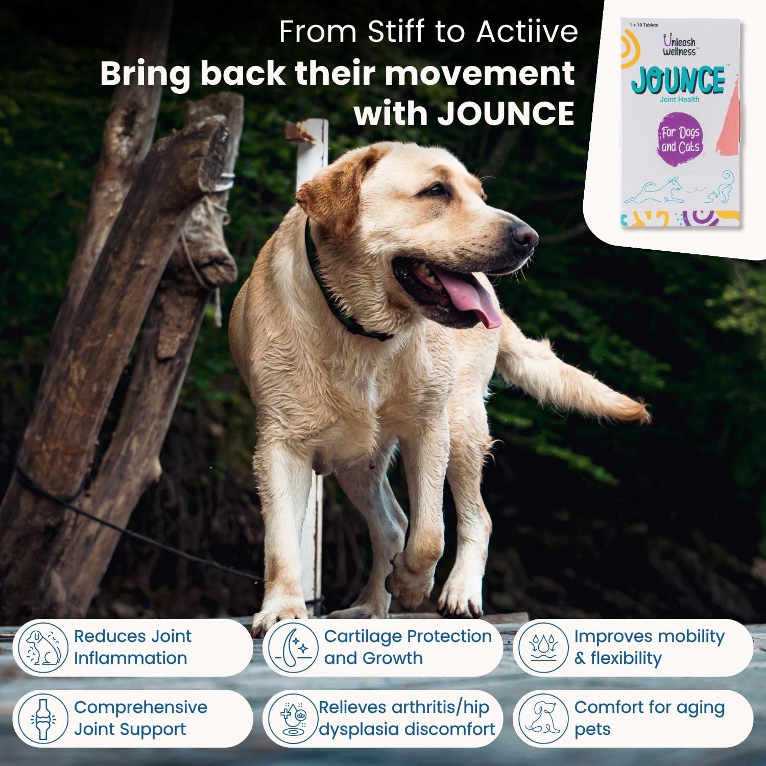 Jounce® Hip & Joint Supplement for Dogs, 30 Crunchies for Stiffness, Limping, Joint Pain & Dogs Prone to Hip Dysplasia with Collagen, Boswellia Serrata & Chondroitin for Mobility & Cartilage Support