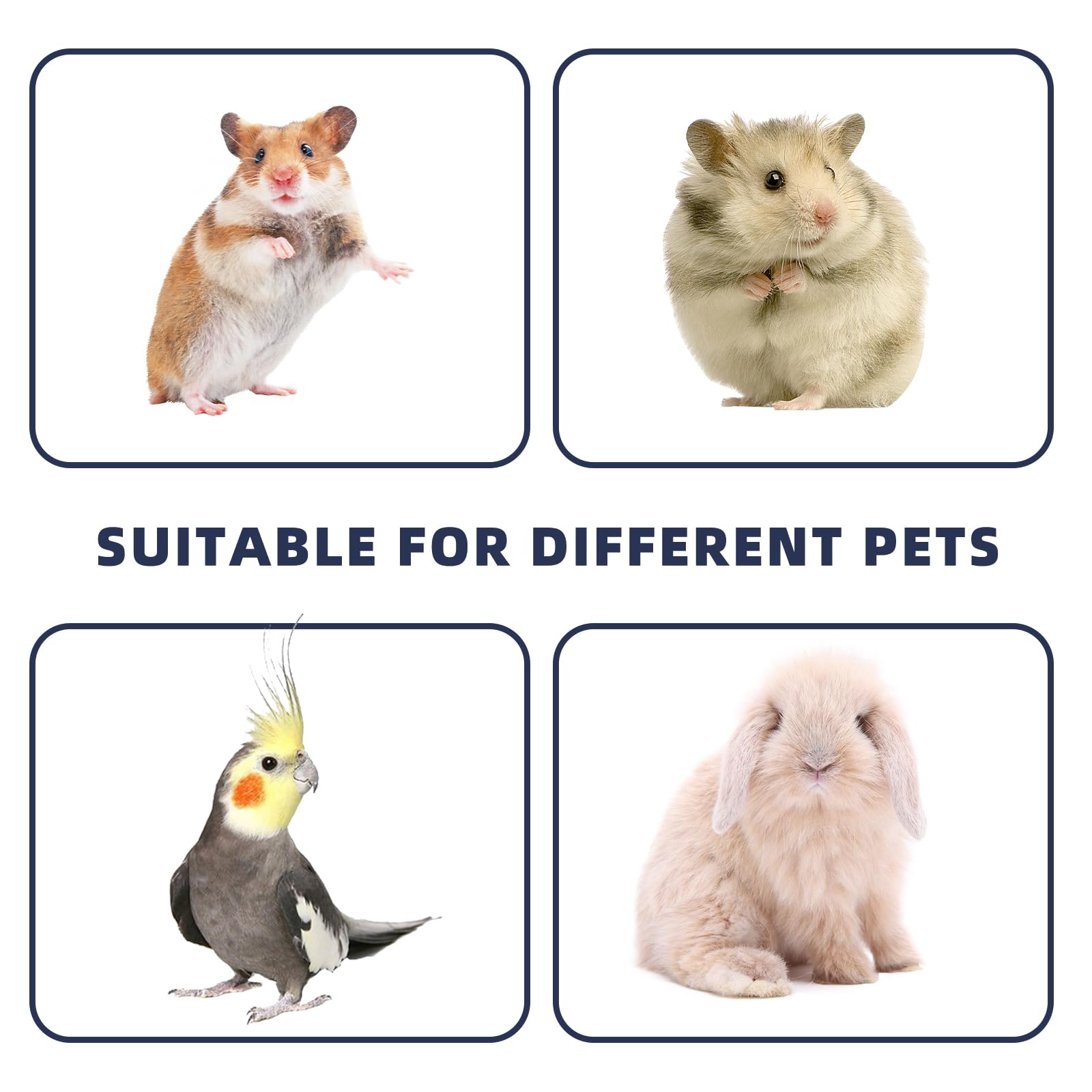 Boîte de transport pour hamster, 30 x 25 x 25 cm, sac de transport pliable pour chat, chien, petit animal, avec ouverture latérale, sac de transport pliable pour chat, chien, lapin, hamster