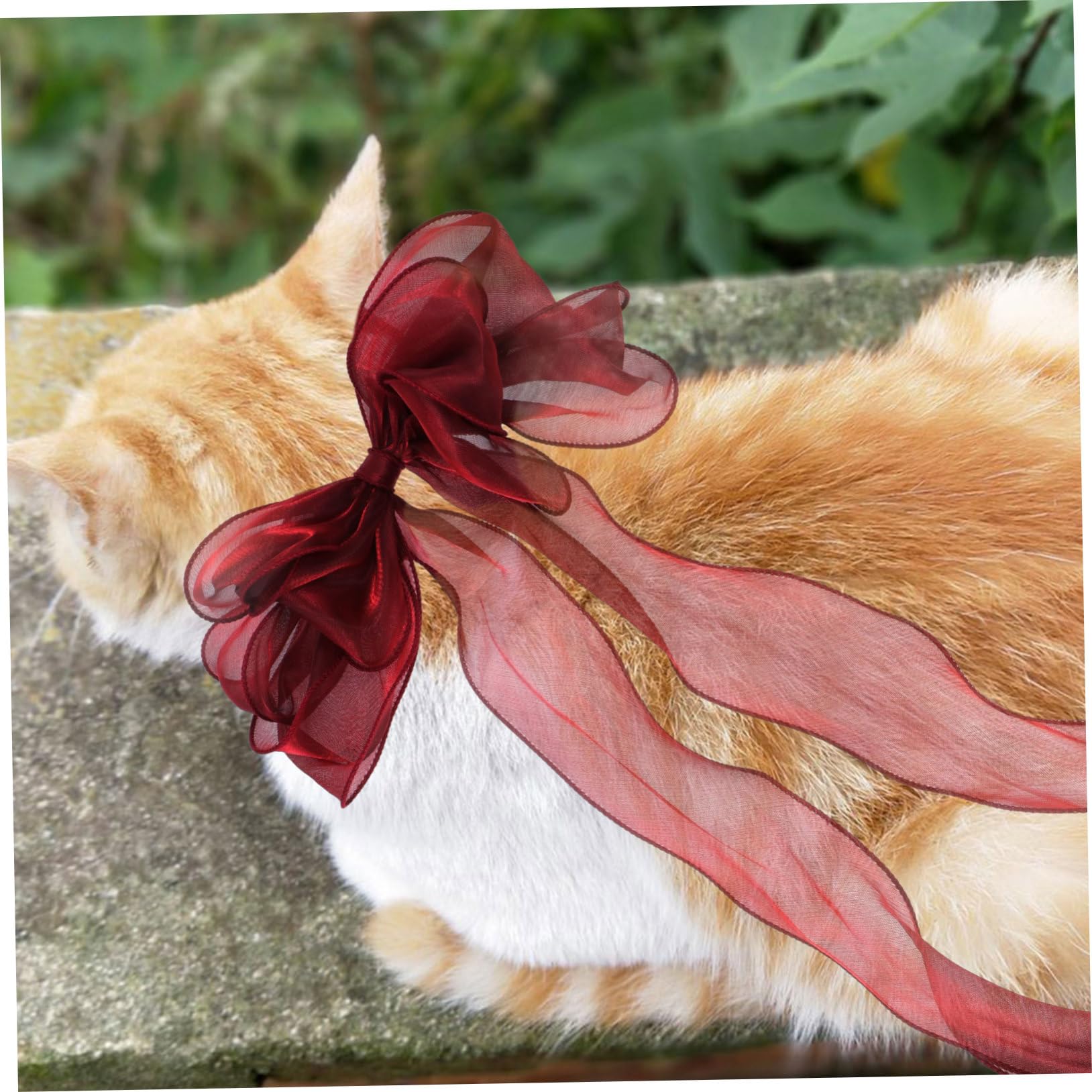 Abaodam Collier pour Chat avec Nœud Décoratif Réglable pour Chaton Et Chat Confortable