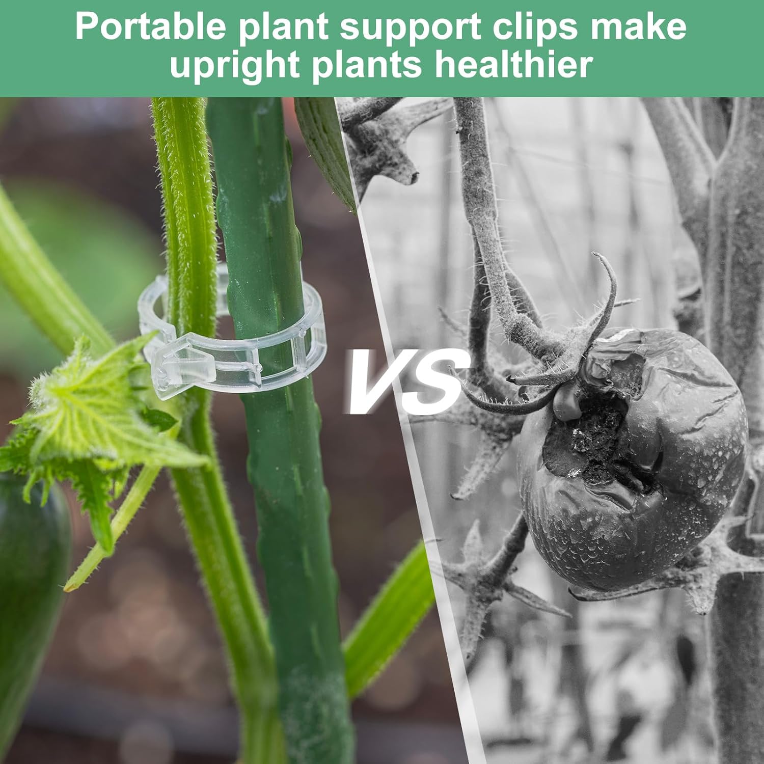 300-Pack Tomato Clips, Plastic Trellis Plant Support Clips, Secured Plastic Plant Clip, Reusable Garden Clips for Tomato/Grape/Vine Plant Clips [Brown]