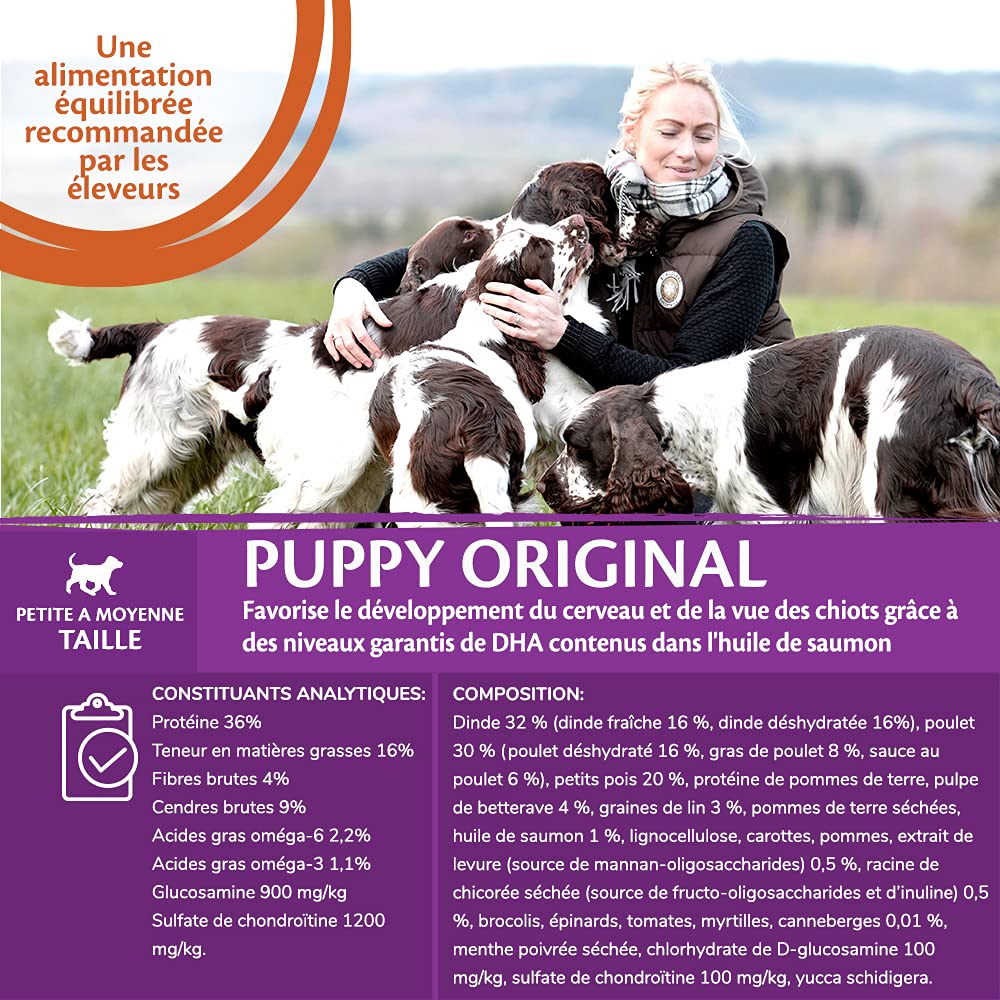 Wellness CORE Puppy Original, Welpenfutter trocken für kleine & mittelgroße Welpen, Pute & Huhn, 10 kg & Puppy Original, Welpenfutter nass, Huhn & Pute, 6 x 400 g