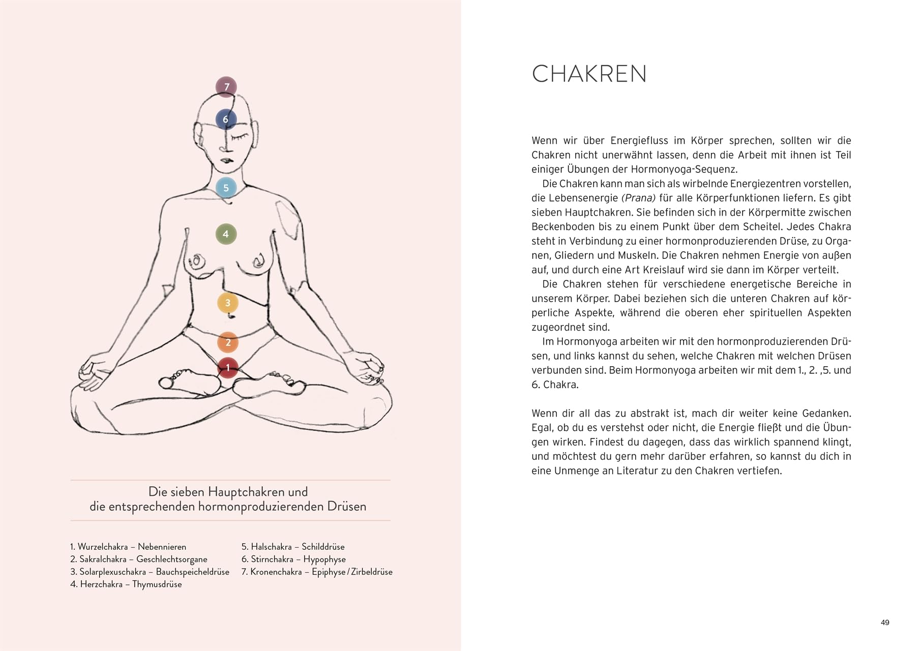 Hormonyoga für die Wechseljahre: Mit sanftem Yoga zu hormoneller Balance und Wohlbefinden für Körper und Geist. 14 Yoga-Serien - auch für Anfängerinnen