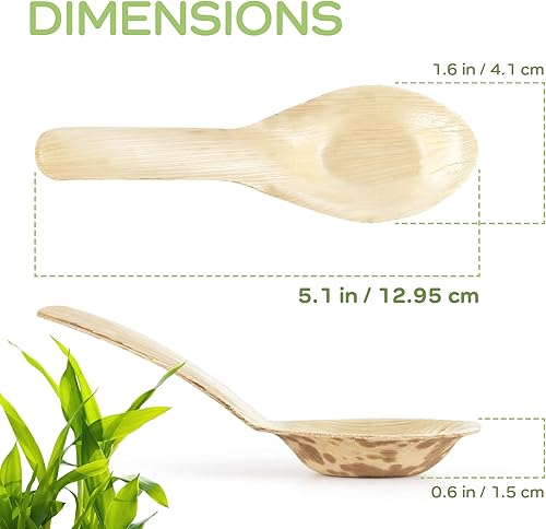 Miniatura 2 de BambooMN Cucharas de sopa china de hoja de bambú de 5.1 pulgadas, totalmente naturales desechables compostables para catering y uso doméstico, 300