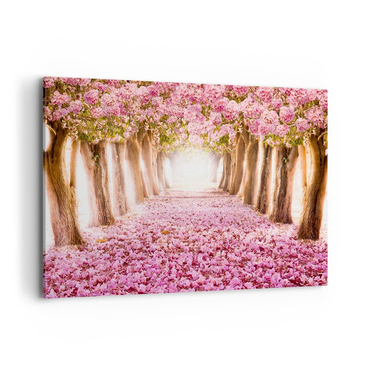 Deco Cadre Décoration Salon Arbre fleurs cerise nature Moderne Impression sur Toile 120x80cm Image Tableau Decoration Murale Chambre Horizontal Art Wall Grand Tableaux Decoratifs Muraux AA120x80-2794