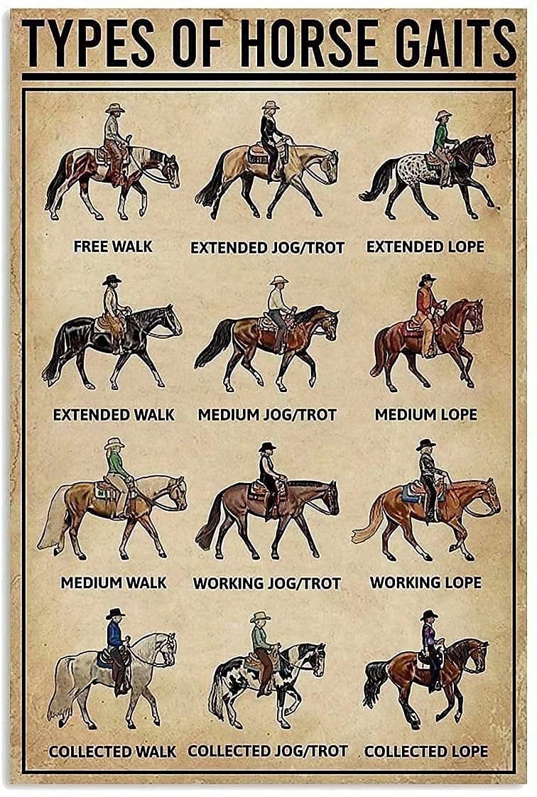 types of horse gaits Metal Signs, Fun Poster For Bar Kitchen Cafe Farmhouse Wall Decor 12x16 inch