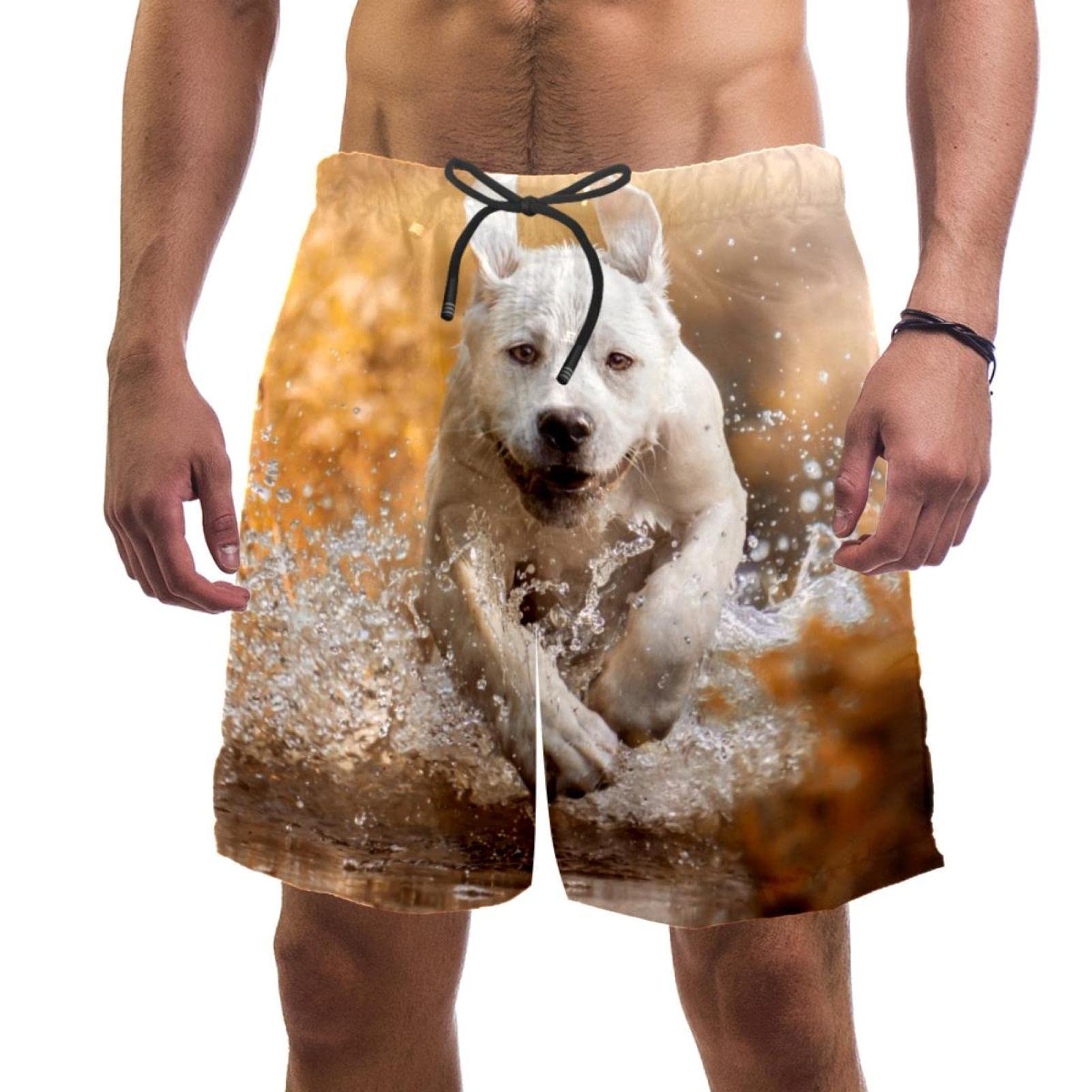 Maillot de bain homme chien - Short de plage séchage rapide confortable