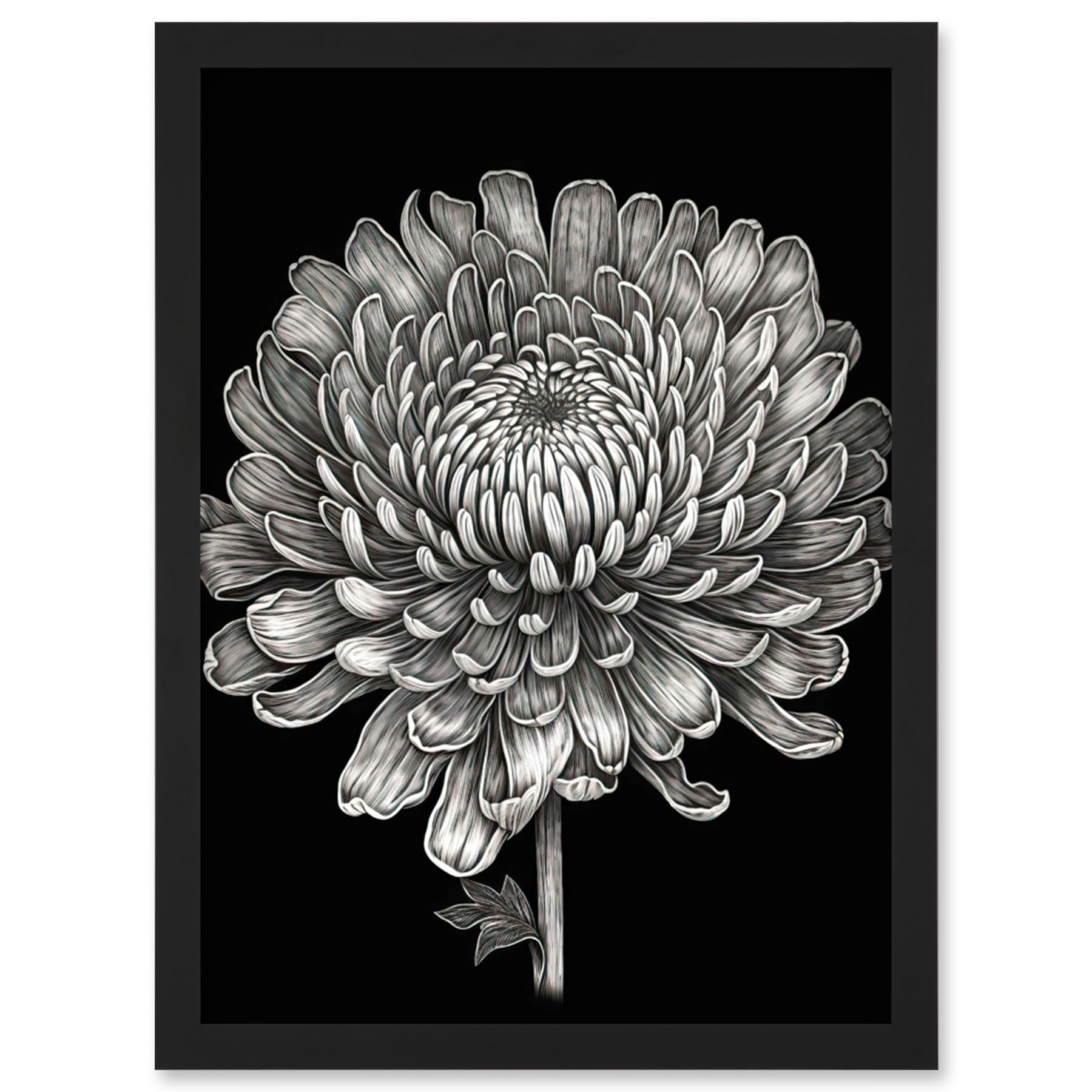 Artery8 Detailed Chrysanthemum Flower Bloom Illustration Artwork Framed Wall Art Print A4