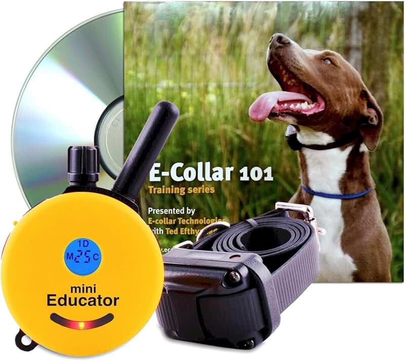 Amazon.ca e collar