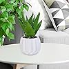 Product Photo 8
