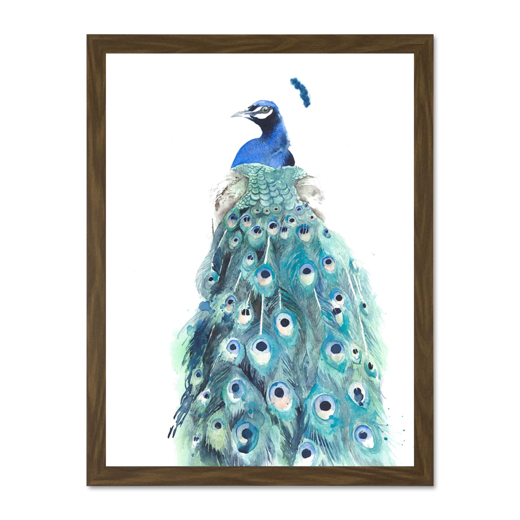 Wee Blue Coo Bird Peacock Watercolour Large Framed Art Print Wall Poster 18x24 inch