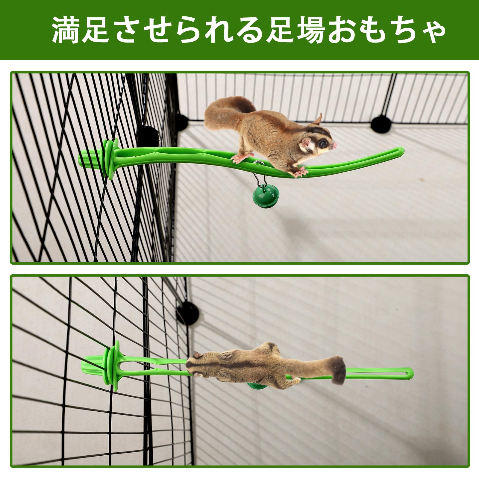 Amazon.co.jp: Segarty モモンガステップ 踏み台セット 緑 PVC製ケージ