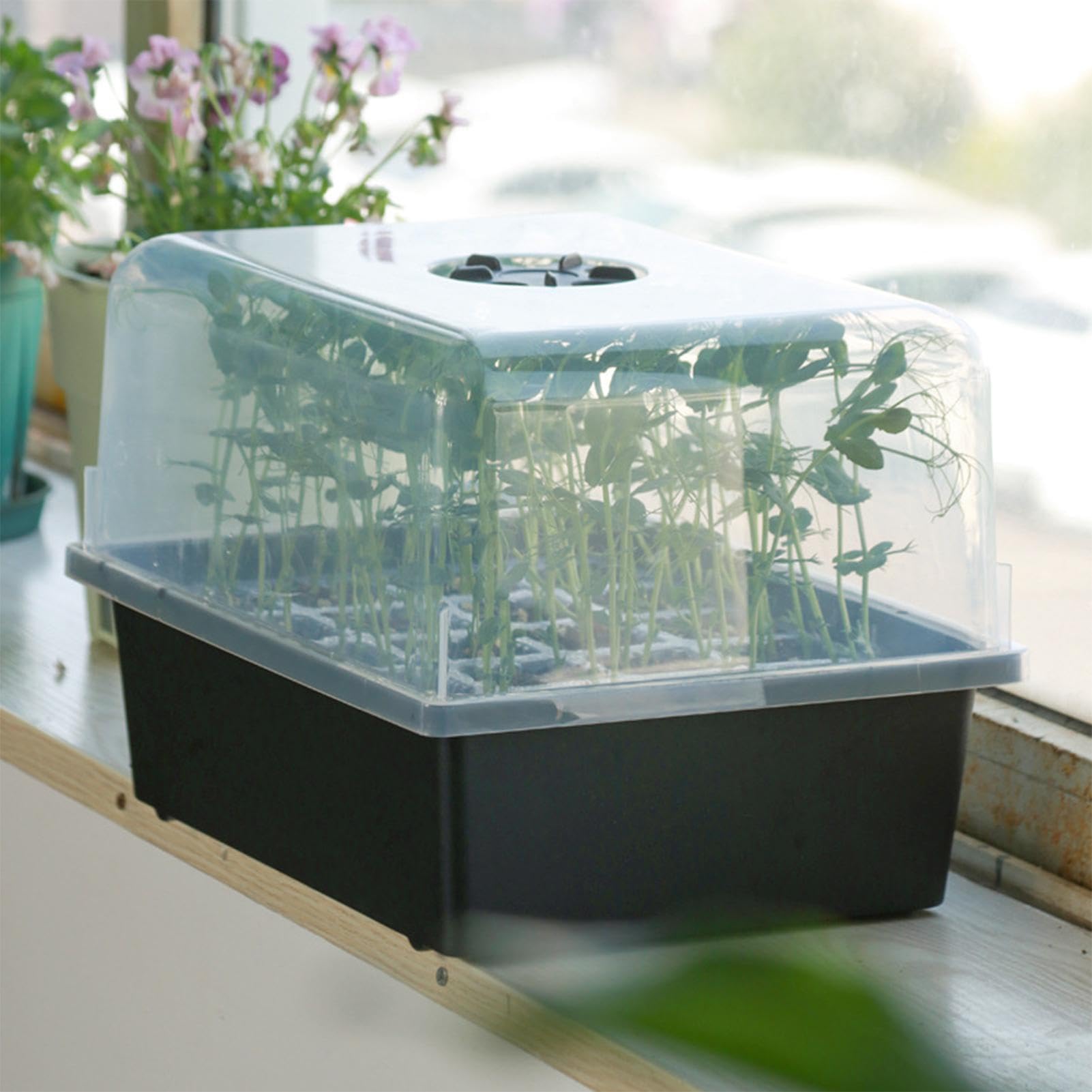 Kit per Germinazione Semi Vasi Starter Per La Coltivazione Delle Piantine