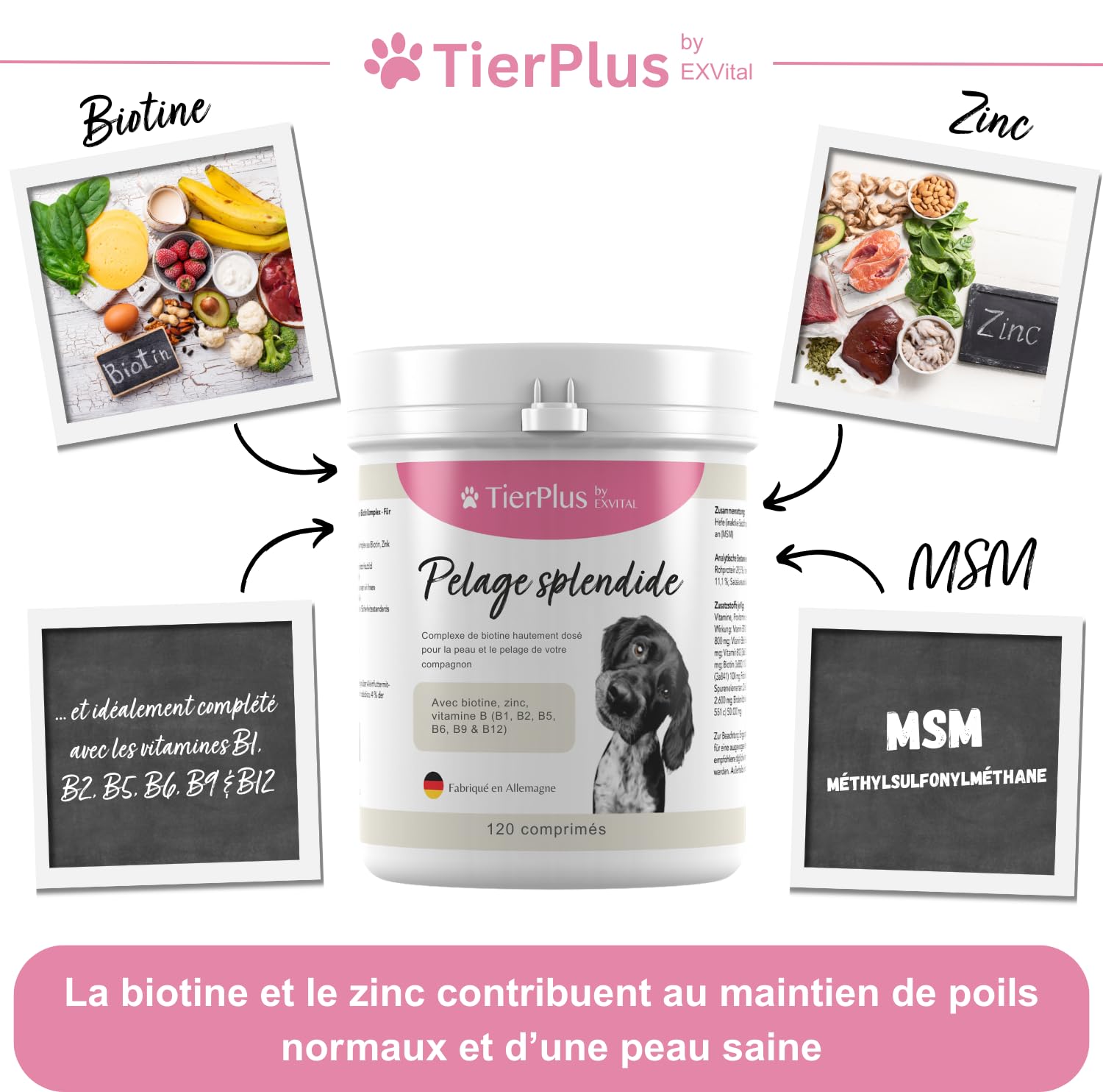 TierPlus Haarpracht, complexe de biotine hautement dosé pour chien, contre la chute des cheveux, les démangeaisons et la peau sèche - Pour un pelage brillant et une belle peau, 120 comprimés