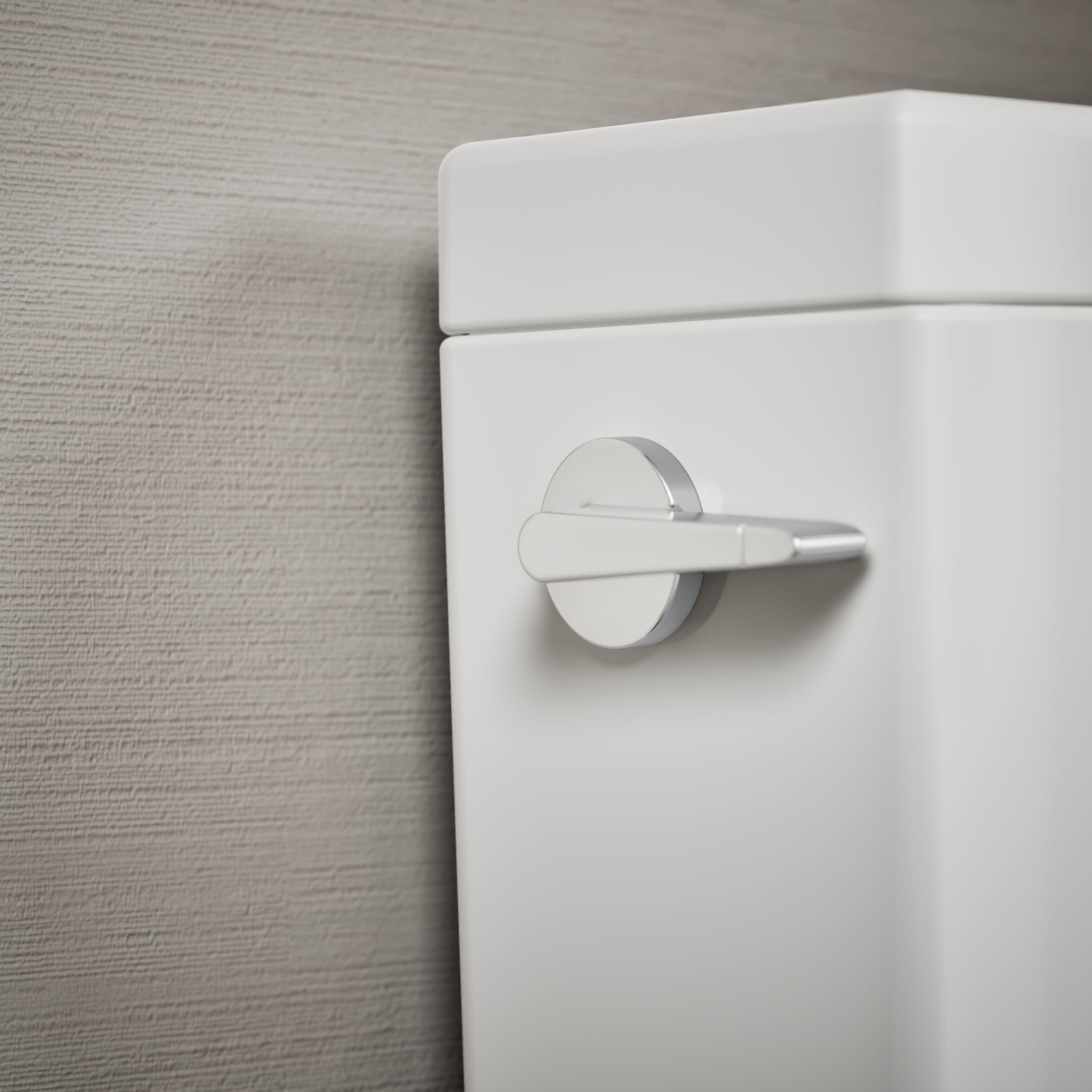 KOHLER 9237-CP Wellworth Left-Hand Dual-Flush Toilet Trip Lever