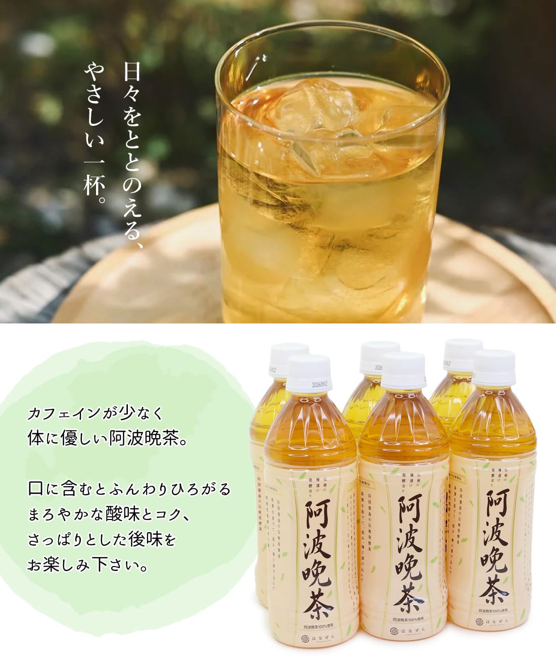 Amazon.co.jp: 阿波晩茶 500ml×6 ペットボトル 伝統樽漬 発酵茶 100