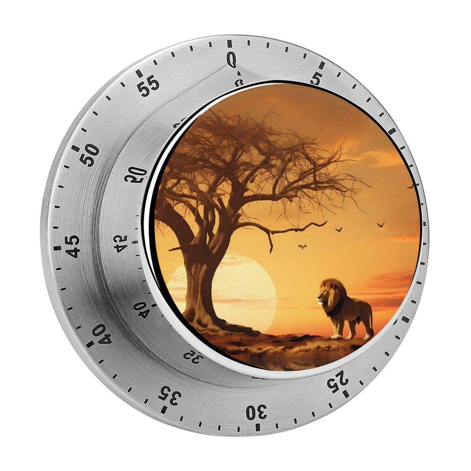 King Lion Mechanical Rotary Timer, Used for Daily Timing