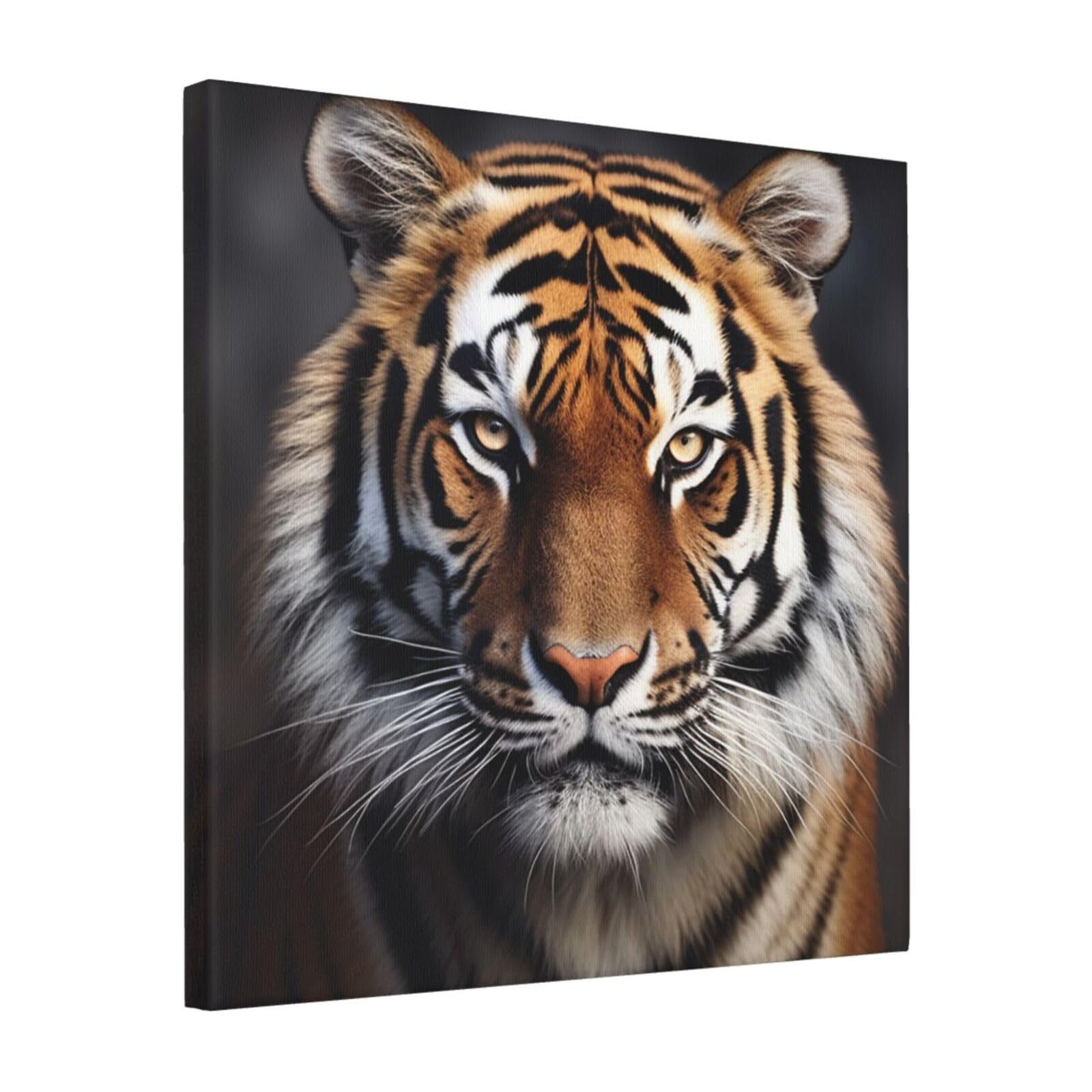 KLOPH Tiger Canvas Wall Art for Living Room 16"x16" Modern Artwork Painting for Bathroom Hanging Canvas Prints Aesthetic Wallart for Bedroom Kitchen Office Wall Decor
