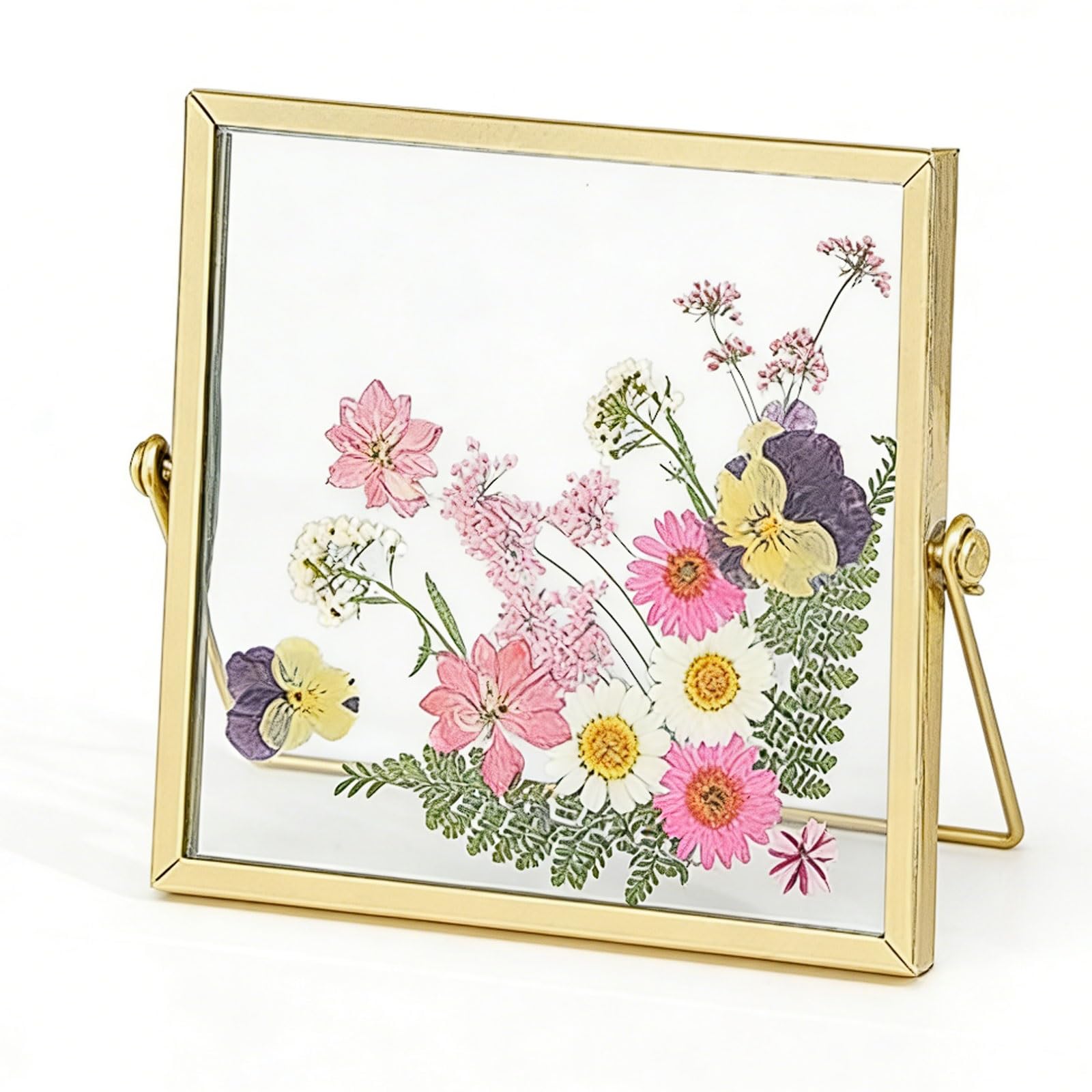 Plant Specimen Preservation Frame, Pressed Dried Flowers Display with Double-Sided Transparent Glass Iron Frame Ornament photograph(15 * 15cm)