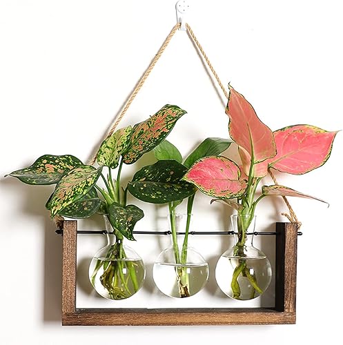 MSUIINT Terrario para plantas con soporte de madera retro, maceta de vidrio para colgar en la pared, 3 jarrones de propagación de mesa con soporte