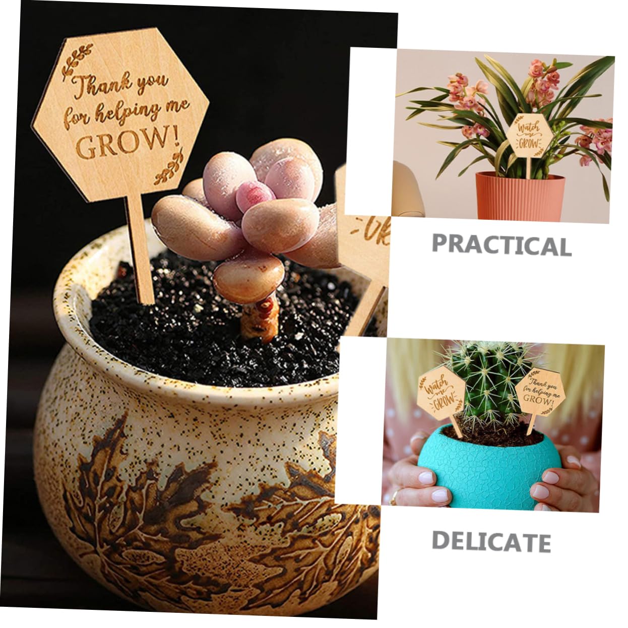 ibasenice 5 Ensembles Étiquettes En Bois Pour Plantes Étiquettes Pour Semis Jardinage Marqueurs Pour Plantes De Jardin Étiquettes Pour Plantes Succulentes Étiquettes De 40 pièces * 5