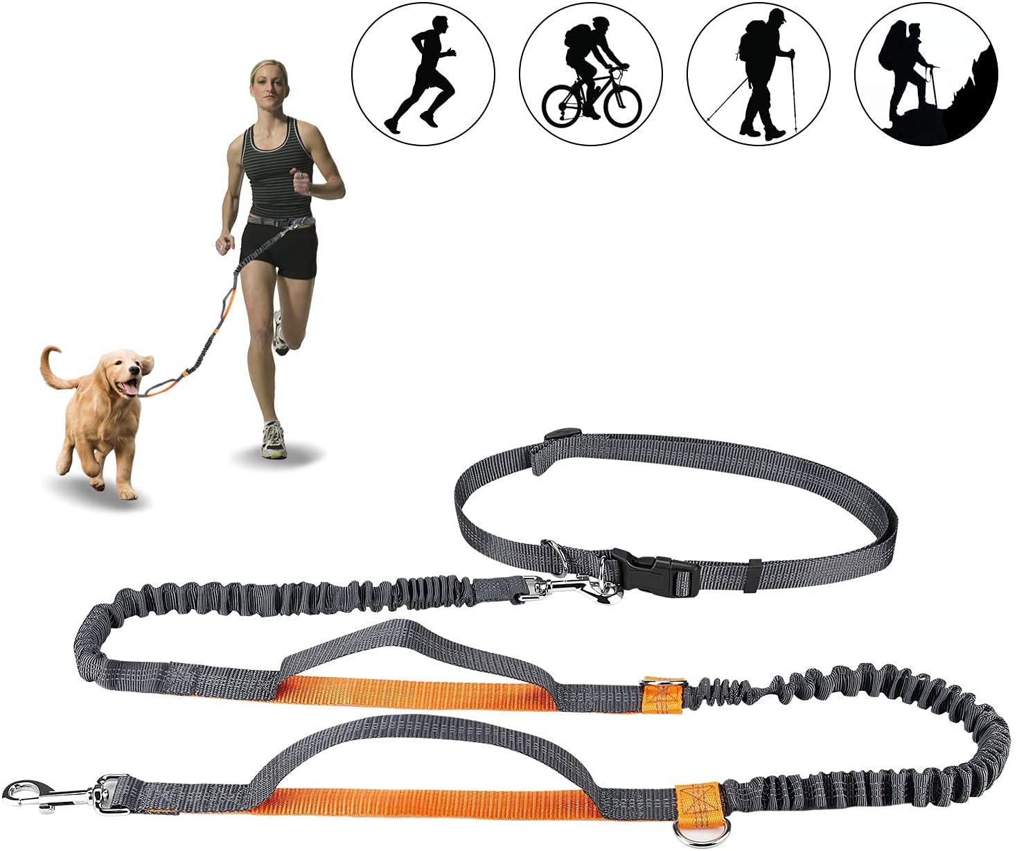 KUTKUT Hands Free Dog Running Leash with Adjustable Waist 28" to 48", Dual Handle Elastic Bungees Retractable Rope for Small, Medium and Large Dogs, Reflective Stitches for Walking Running &Hiking. (B09XTJKCV1) Amazon Price History, Amazon Price Tracker