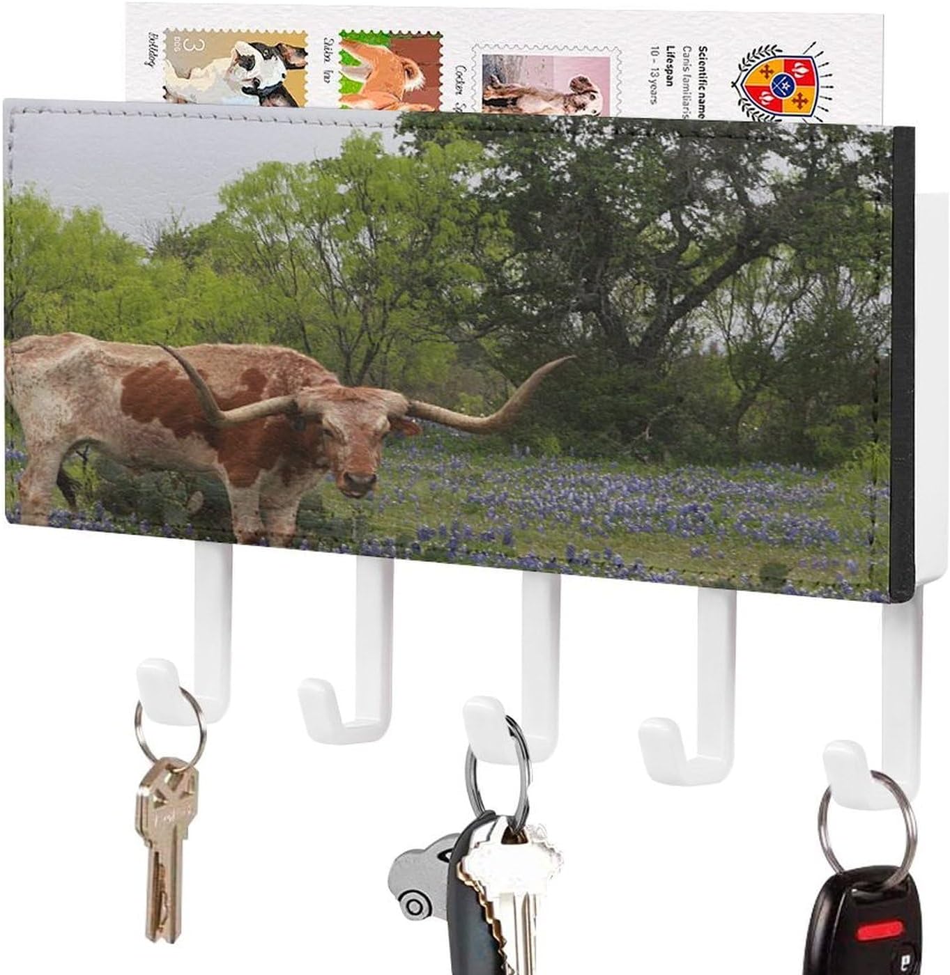 Key Holder Wall Mount Key Hanger with 5 Hooks, Decorative Key Rack | Longhorn Steer And Bluebonnets Hanging Key Hooks with Mail Organizer for Wall Living Room Kitchen Bathroom Hallway