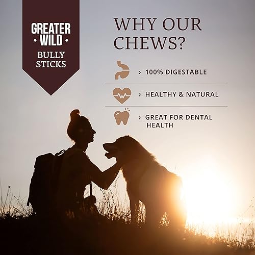 Miniatura 3 de Beef Bully Sticks Golosinas para perros, 5 palitos de 6 pulgadas, de un solo ingrediente, totalmente naturales, masticables de larga duración para