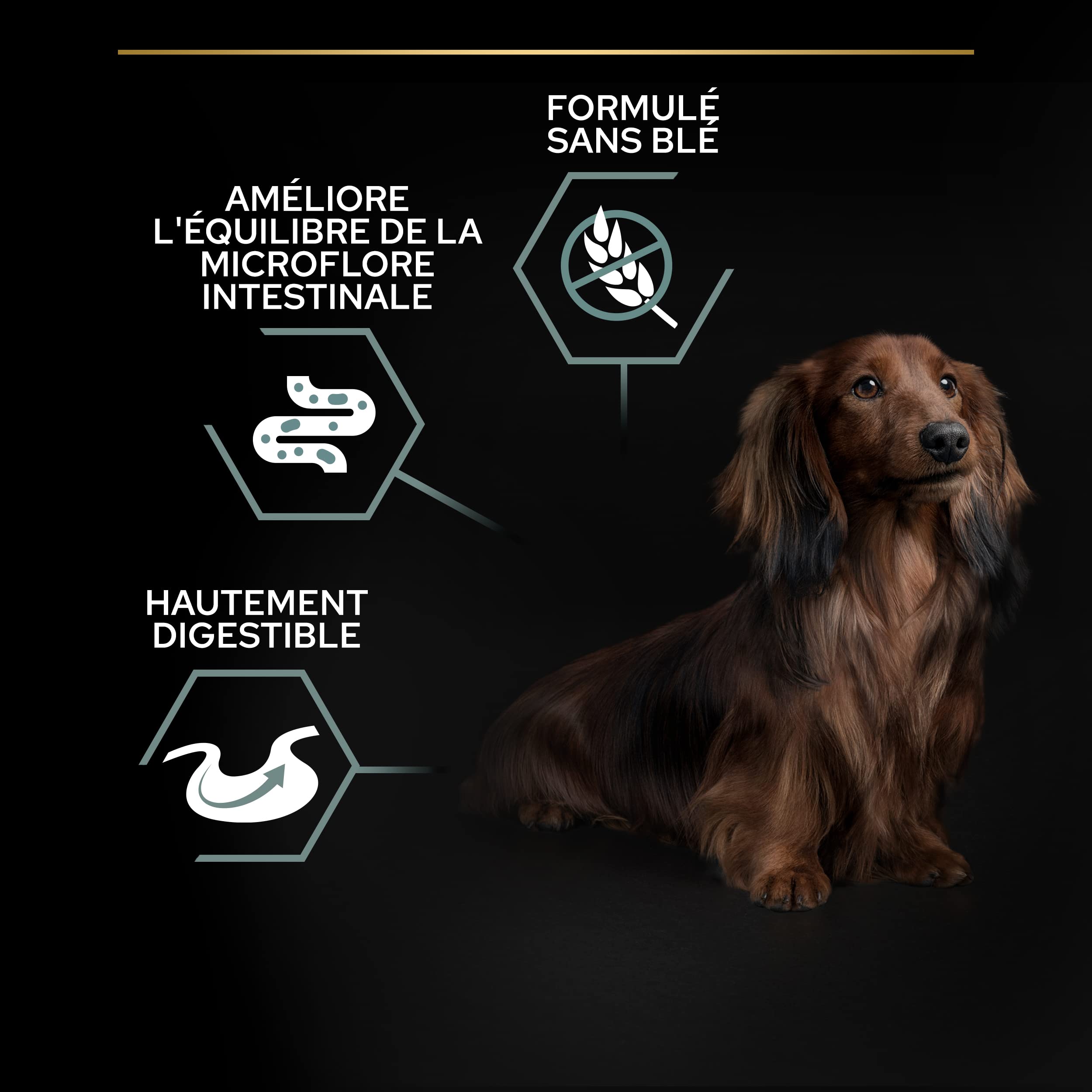PURINA PRO PLAN | Sensitive Digestion | Croquettes complètes pour chiens adultes de petite taille | Favorise un système digestif sain |Riche en Dinde | Croquettes | Chiens adultes | Sac de 7kg | Croquettes Chien Petite Taille Digestion Sensible Saveur Din