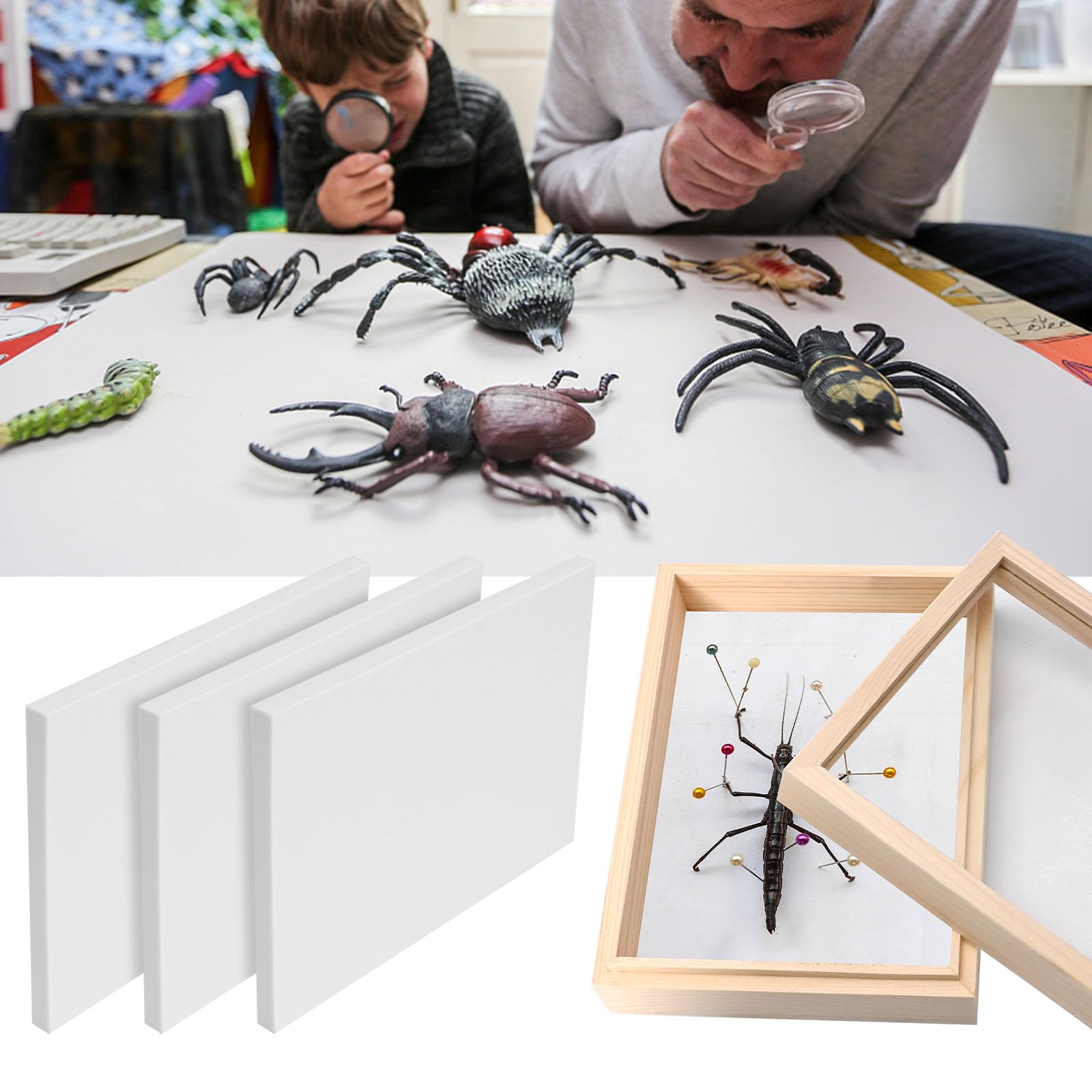 Saihisday 3Pcs insetto pinning board esemplare pannello di visualizzazione EVA Foam Boards, campione diffusione bordo farfalla spargere ali per la scienza educazione progetto/raccolta di insetti