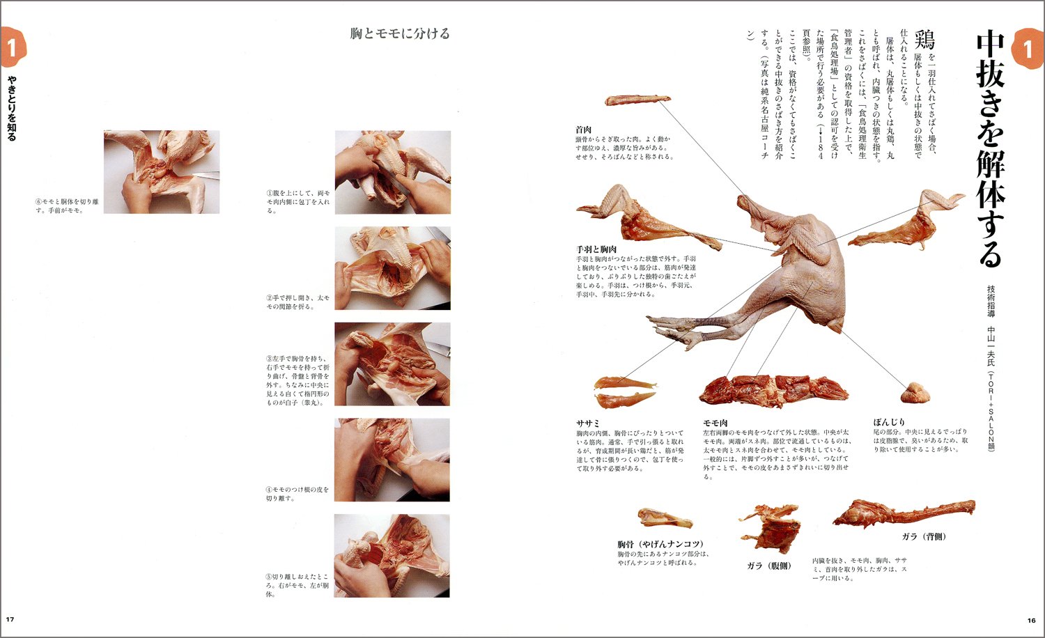 Amazon.com: 柴田書店: books, biography, latest update