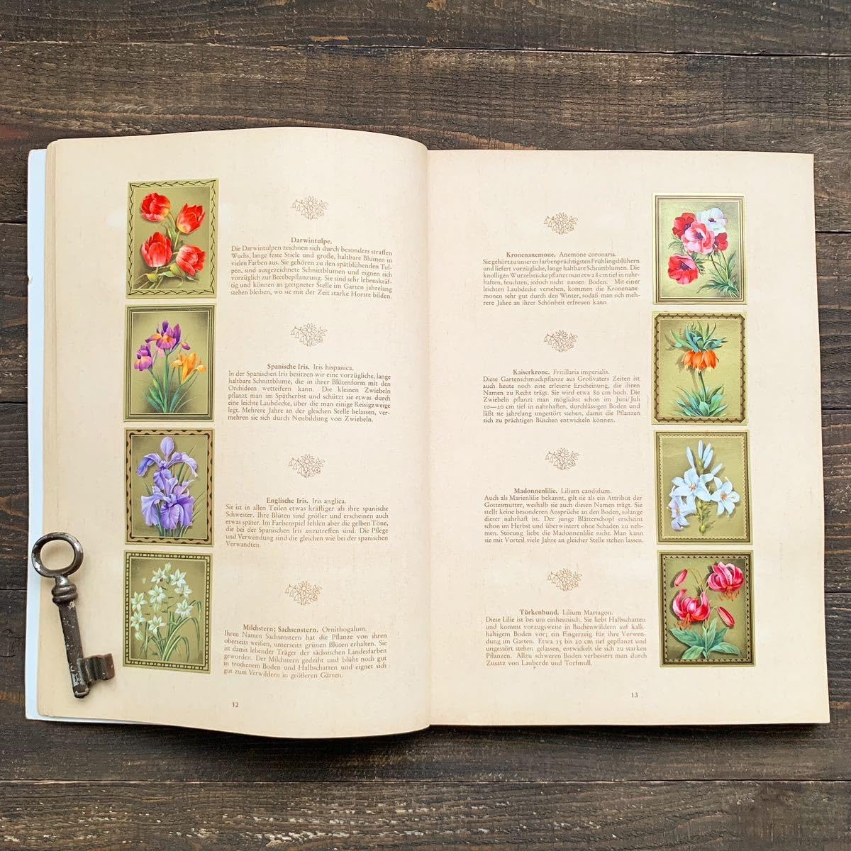 くれは様用です！！ ヴィンテージ イタリア製 ボタニカルアート 2つ