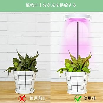 Amazon | 植物育成ライト LED 植物ライト三色モード 5V 5W USB 9
