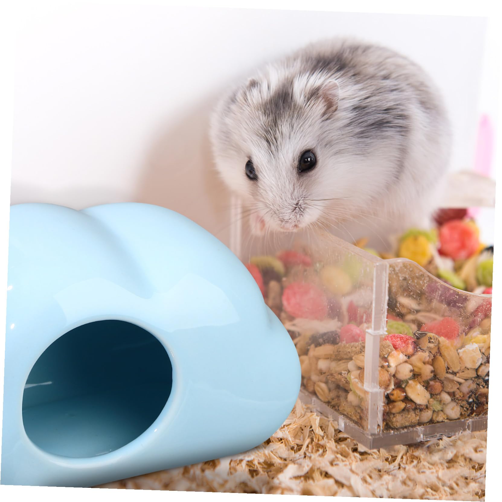 DECHOUS 2 Stück Keramik Hamsterhöhle in Wolkenform als Sommerferien Hamsternest für Kleintier Haustier mit Verbesserter Schlafqualität und Wasserdichtem Keramik Haus