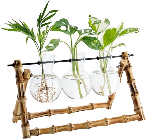 Estaciones de propagación de plantas terrario, soporte de bambú, maceta de escritorio, bombilla de cristal, jarrón para plantas, regalo retro, mesa