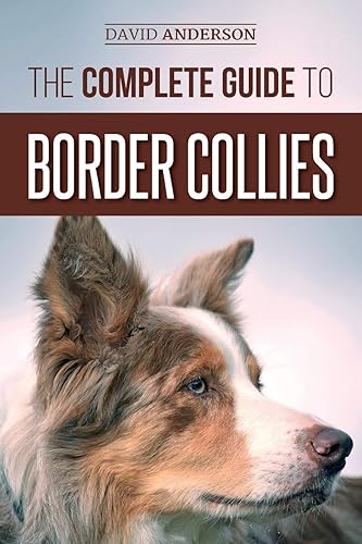 The Complete Guide to Border Collies: Training, teaching, feeding, raising,