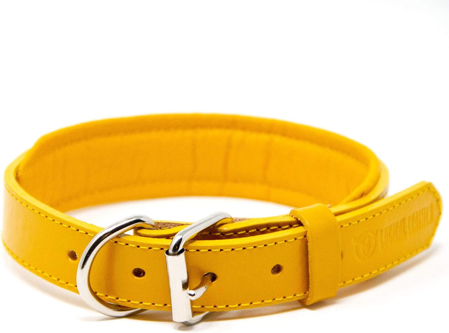 Logical Leather Padded Dog Collar Best Full Grain Heavy