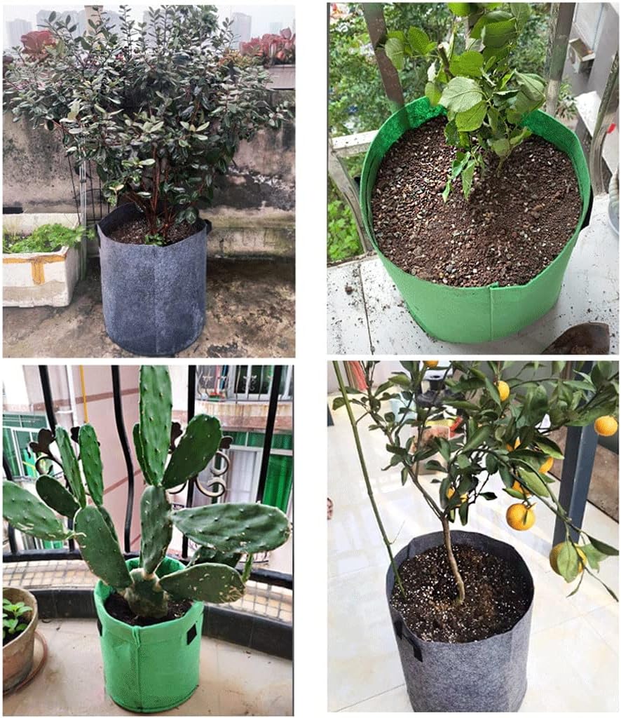 Aeration Fabric Pots Portable Thickened Non Woven Plant Grow Bag 2/4/10/17/32 Gallon Nursery Bag Grow Bag for Vegetable Plant Grow Bag 3 Packs Grow Bags (Color : Green, Size : (32gallon) 50 * 60