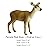 FUNSHOWCASE African Jungle Animals Female Red Deer Hind Toy Figure Realistic Plastic Figurine Height 3.1-inch