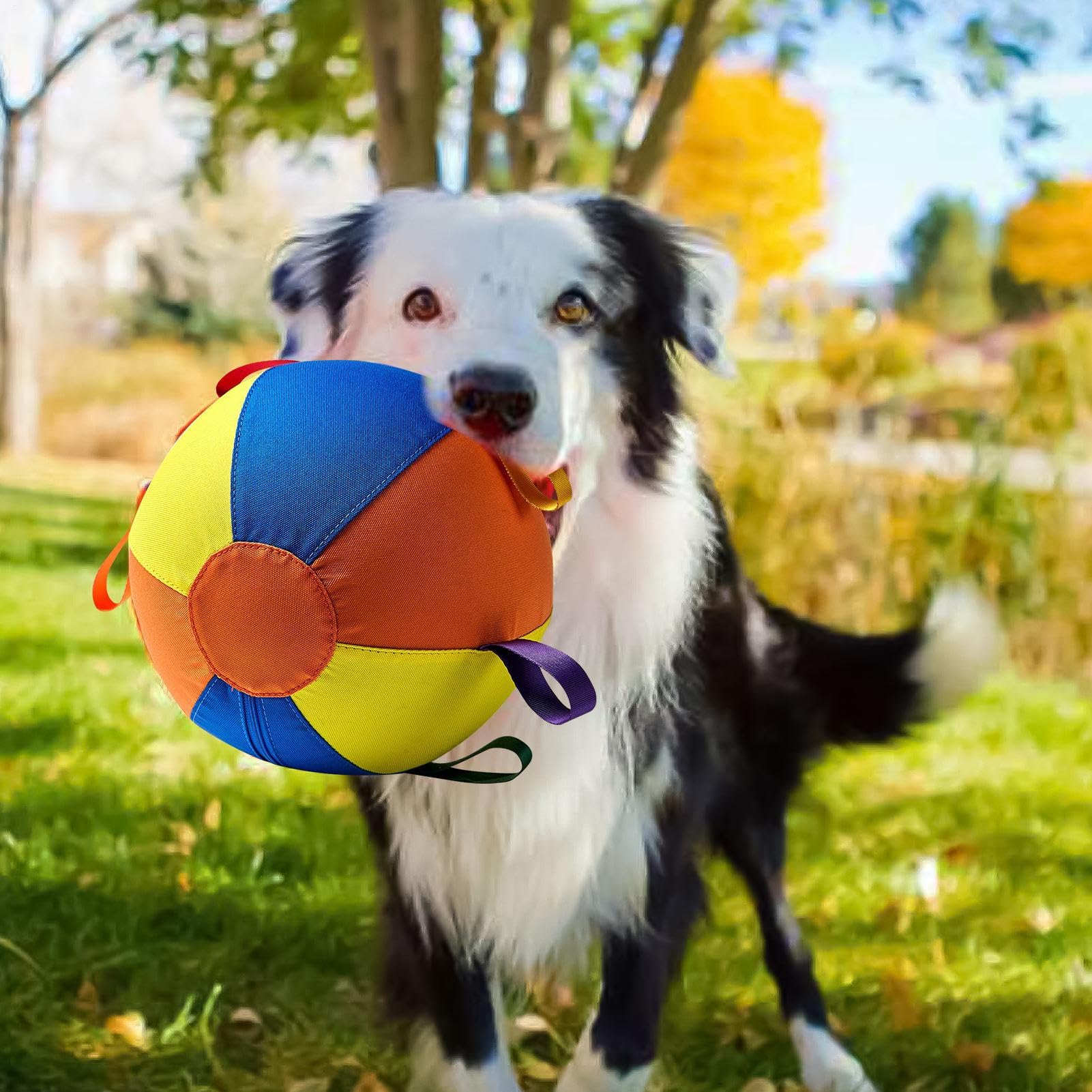 Balle jouet pour chien d'Exercice Portable et Sûr pour Animaux Mâcheurs | Jouet de Balle Interactif Chien et Chiot Exercices Portables Piscine Noël Anniversaire Chiot Mâcheurs