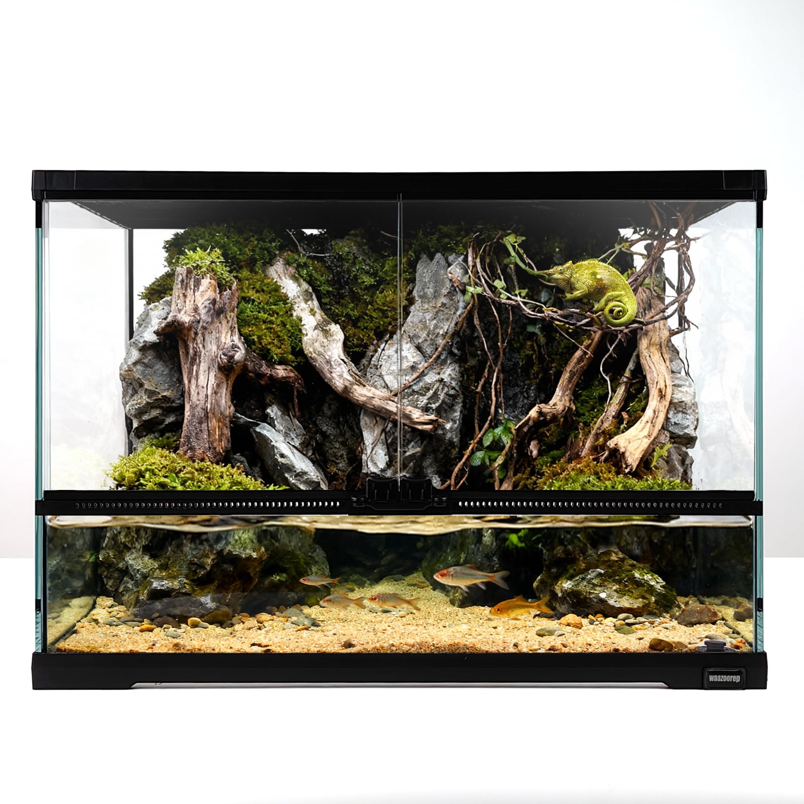 Terrarium en verre pour tortue et lézard avec évacuation intégrée 50cm