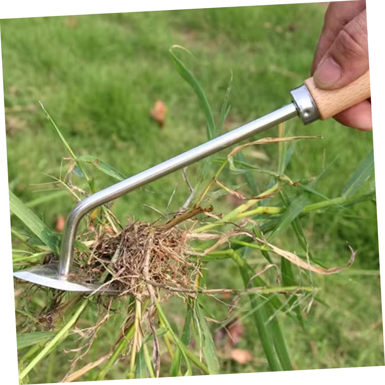 Milisten 3 Stück Ergonomischer Hand Unkrautstecher und Multifunktionales Gartenwerkzeug zum Entfernen Moos für Enge Spalten und Verwurzelte Pflanzen und Rutschfester