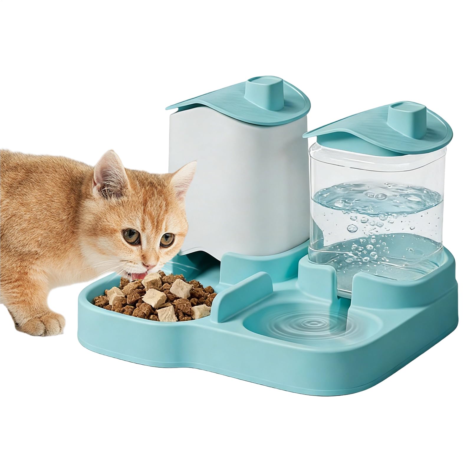 Distributeur automatique de nourriture pour chats anti-gaspillage