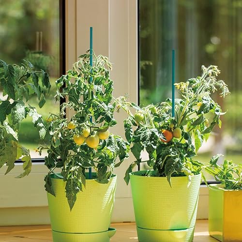Miniatura 4 de GAGINANG - Estacas de bambú verde, varillas de soporte para plantas de interior, estacas de bambú resistentes, soporte floral para plantas de