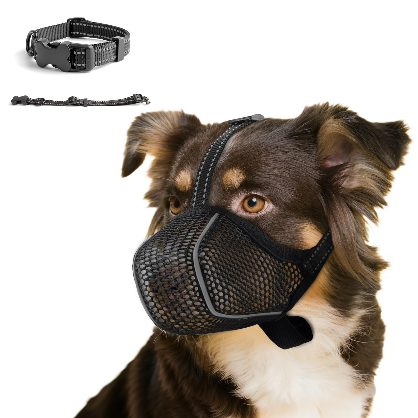 Muselières pour Chiens Anti-Grignotage, Colliers pour Chiens, Muselières Respirantes Réglables pour Animaux de Compagnie,Prévenir l'ingestion Accidentelle,Convient Animaux de Moyenne Taille(M)